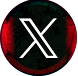 公式X