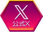 公式X
