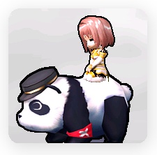 契約証目玉